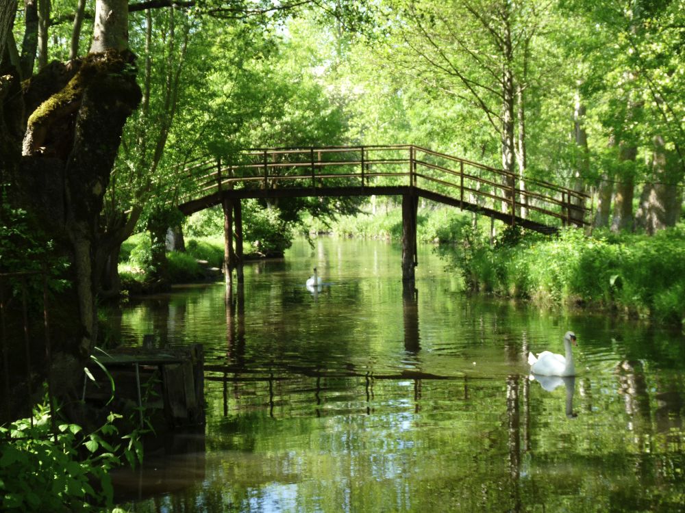 Le_Vanneau-Passerelle